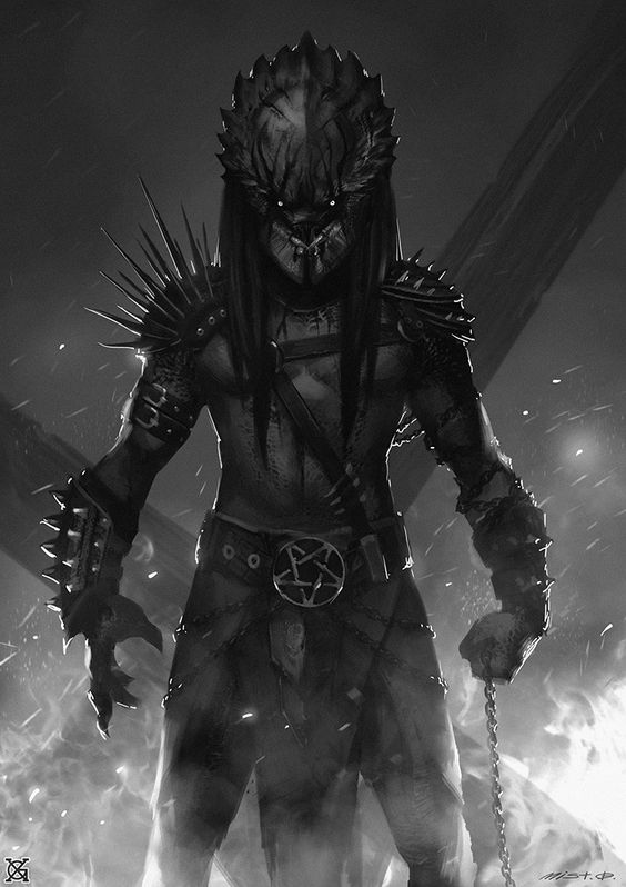 Predator (โมเดลพรีเดเตอร์)