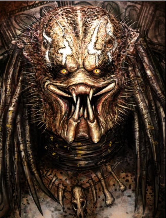 Predator (โมเดลพรีเดเตอร์)