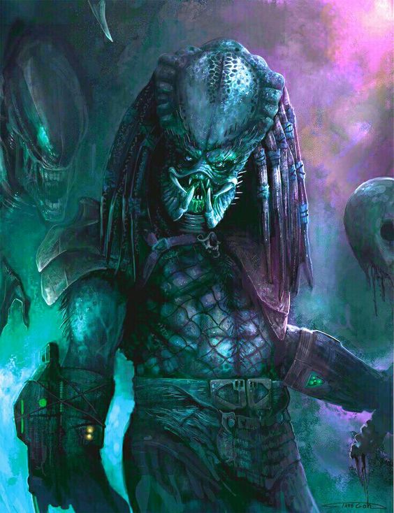 Predator (โมเดลพรีเดเตอร์)
