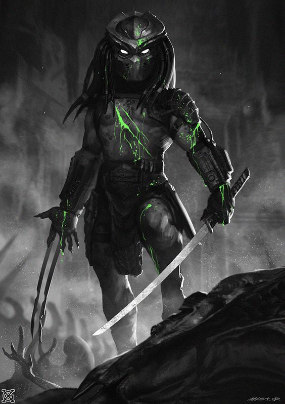Predator (โมเดลพรีเดเตอร์)