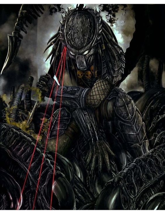 Predator (โมเดลพรีเดเตอร์)