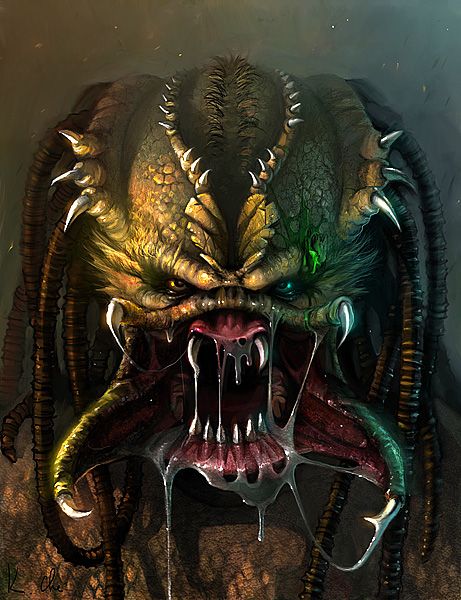 Predator (โมเดลพรีเดเตอร์)