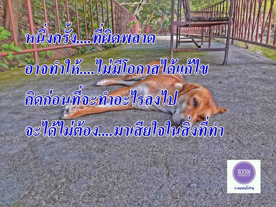 ข้อคิดคำคมดีๆ