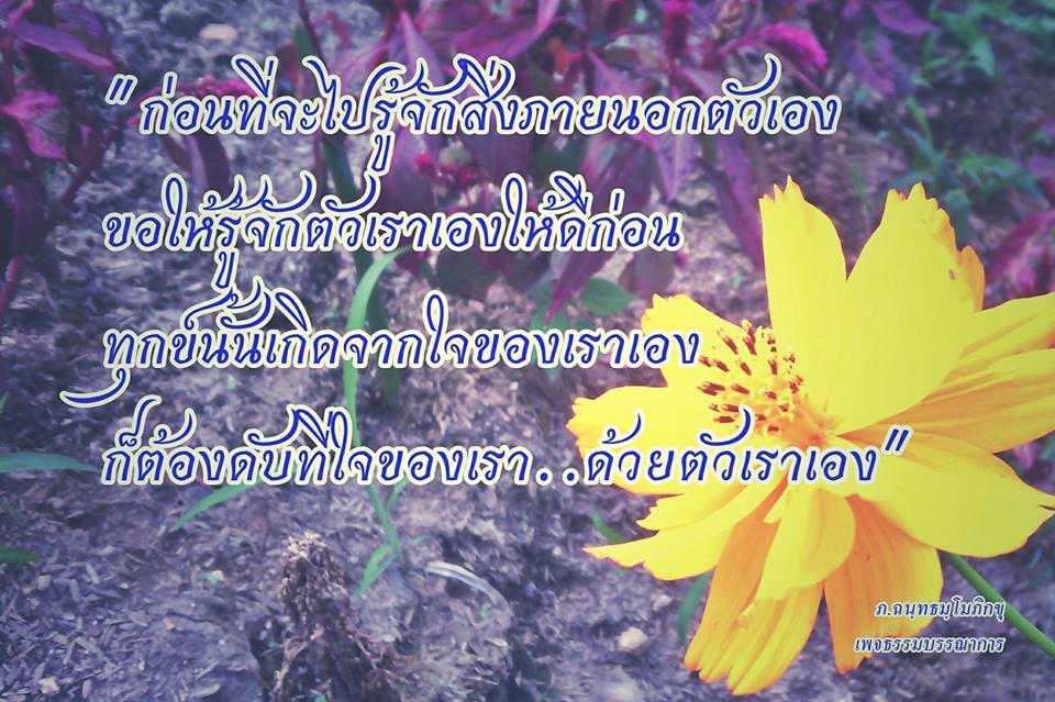 ข้อคิด คำคม คติเตือนใจ