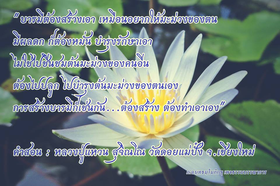 ข้อคิด คำคม คติเตือนใจ
