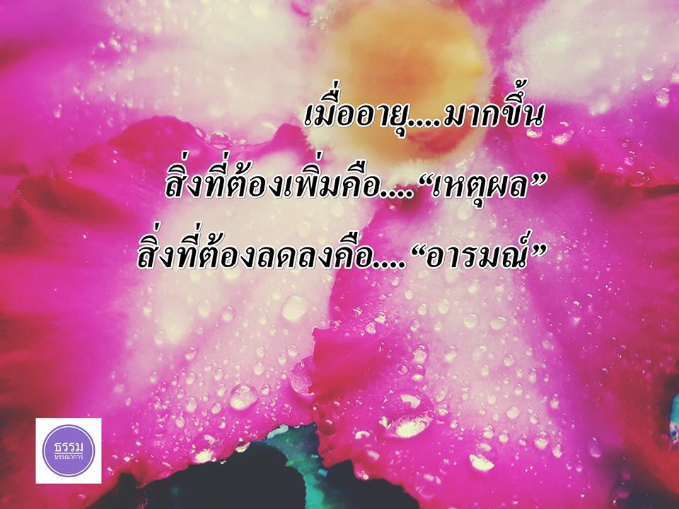 ข้อคิด คำคม คติเตือนใจ