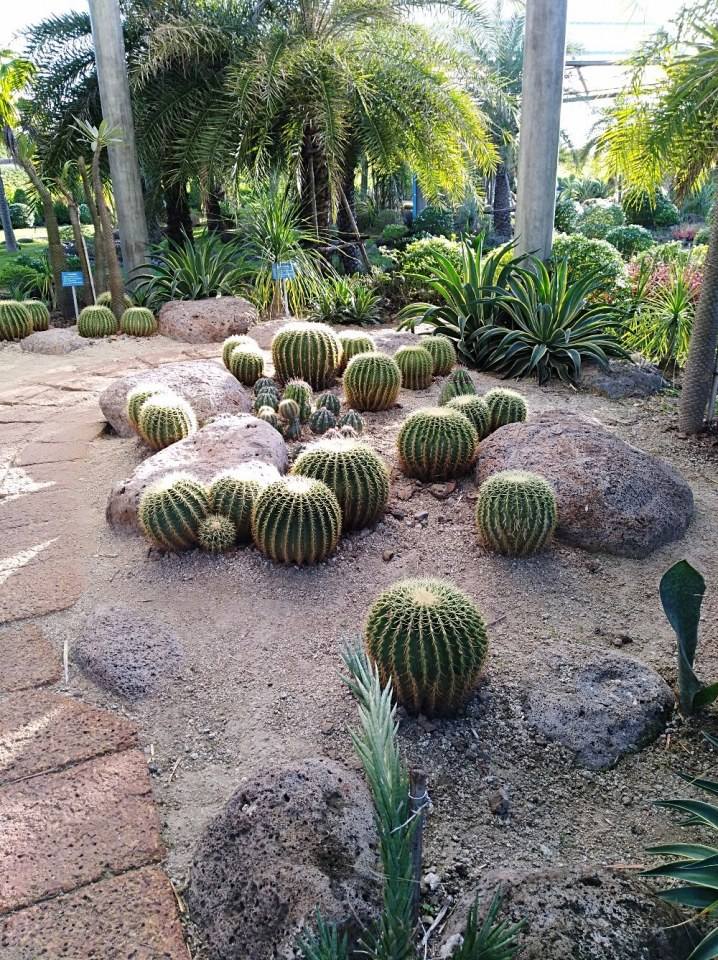 สวนพระศิวะ บุรีรัมย์