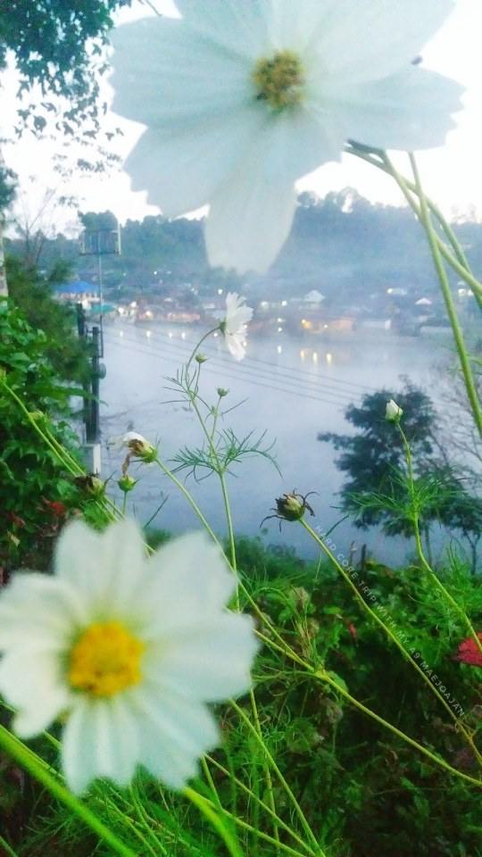 ดินแดนสามหมอก