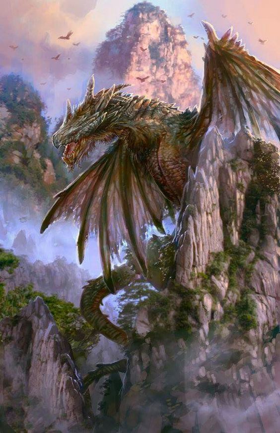 dragons and friends