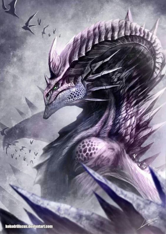 dragons and friends