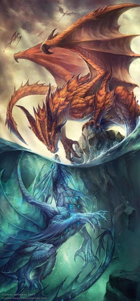 dragons and friends