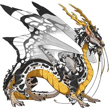 Flight Rising Dragons