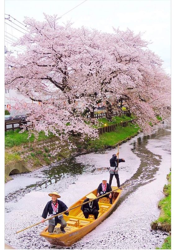 ความยิ่งใหญ่ ของ ญี่ปุ่น กับ 20อันดับสุดยอดปราสาทที่สวยที่สุดในญี่ปุ่น