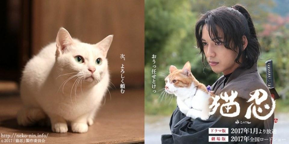 Neko nin (Japanese Drama)