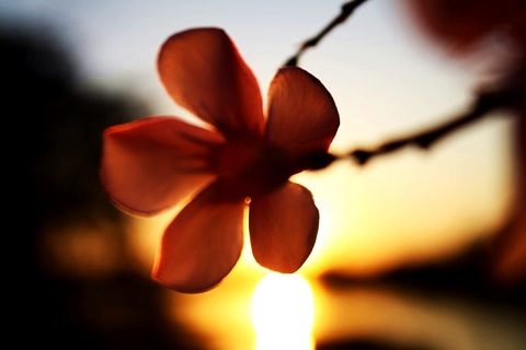 ฅ.สร้างภาพ