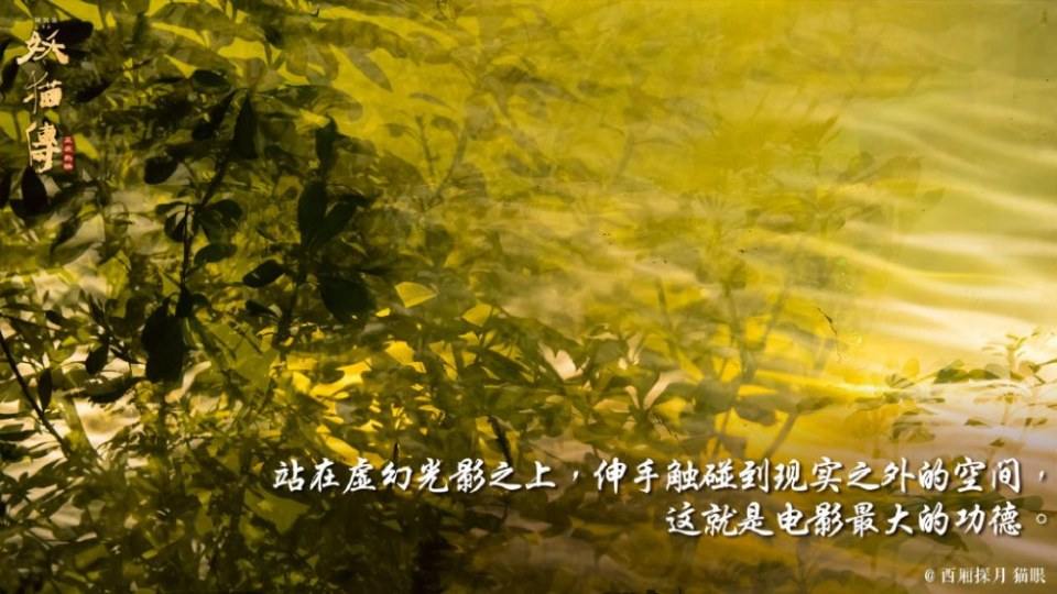 ภาพยนตร์ Legend Of The Demon Cat 《妖猫传》 2017 2