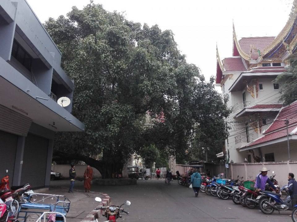 เมืองหนองคาย เมืองริมโขง