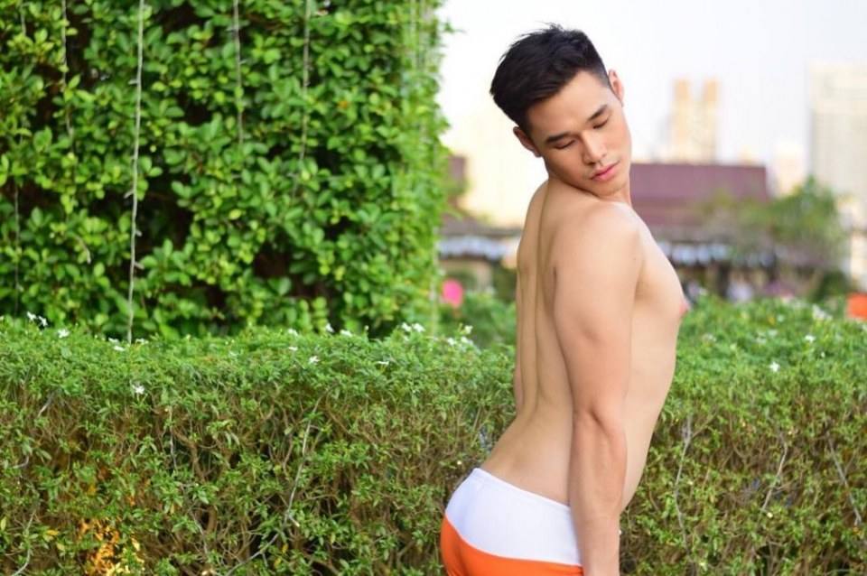 หัวนมพาฟินนน