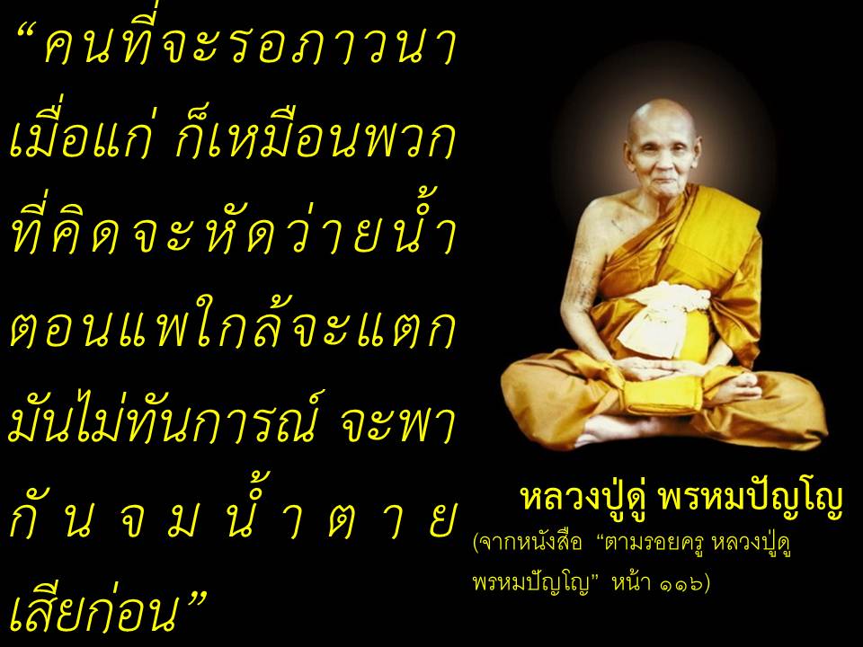 หลวงปู่ดู่ พรหมปัญโญ