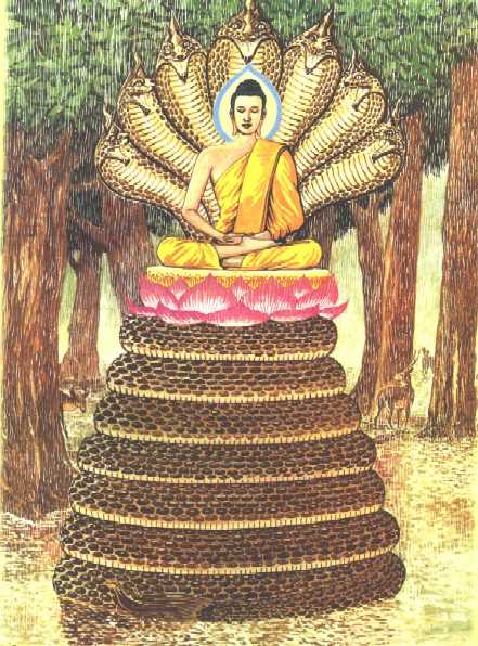 พระบารมีธรรม