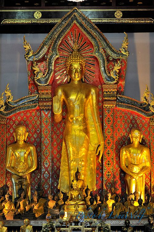 พระประธาน วัดเจดีย์หลวงวรวิหาร จ.เชียงใหม่