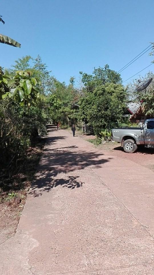 งานบุญผ้าป่า วัดบ้านน้อยพัฒนา พรเจริญ บึงกาฬ