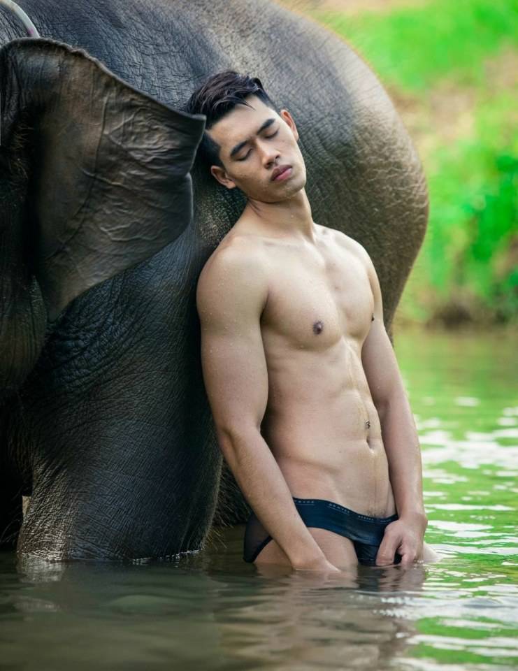 hot male 374 (18+)