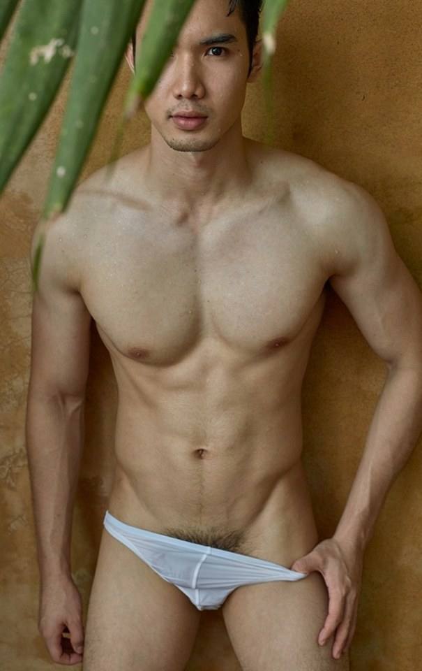 hot male 378 (18+)