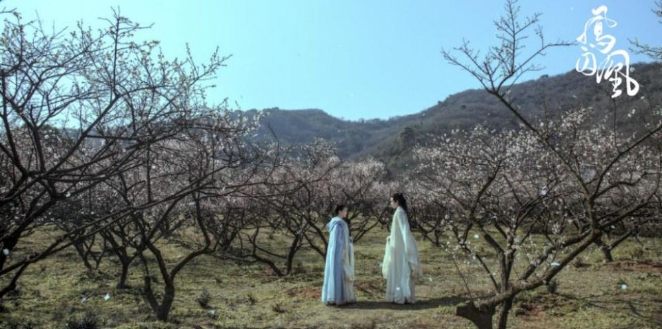 ละคร Untouchable Lovers 《凤囚凰》 2017 8