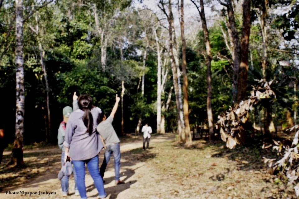 ฅ.สร้างภาพ (กาญจนบุรี ทุ้งใหญ่นเรศวร ตะวันตก)