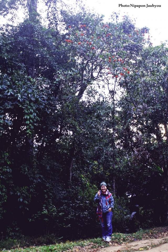 ฅ.สร้างภาพ (กาญจนบุรี ทุ้งใหญ่นเรศวร ตะวันตก)