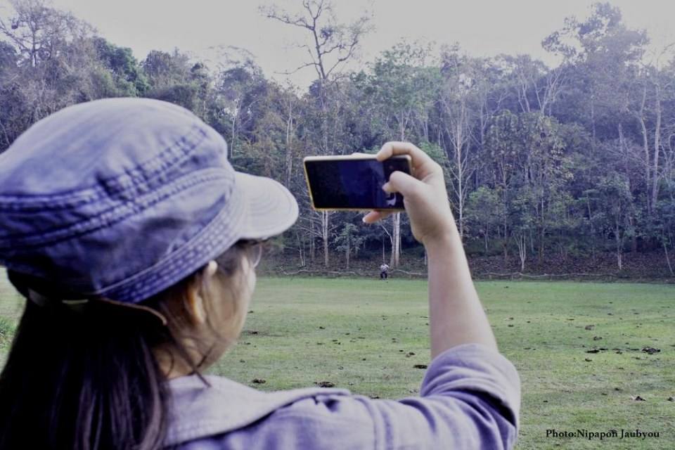 ฅ.สร้างภาพ (กาญจนบุรี ทุ้งใหญ่นเรศวร ตะวันตก)