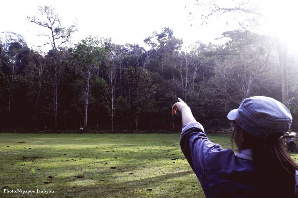 ฅ.สร้างภาพ (กาญจนบุรี ทุ้งใหญ่นเรศวร ตะวันตก)