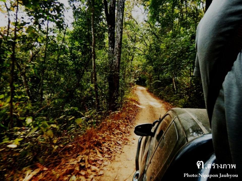 ฅ.สร้างภาพ (กาญจนบุรี ทุ้งใหญ่นเรศวร ตะวันตก)
