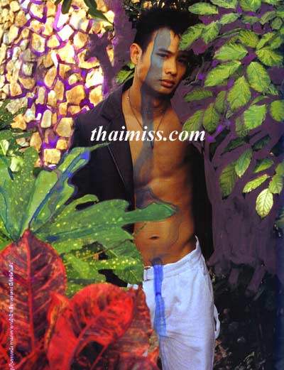 ปาล์ม thailand perfect man