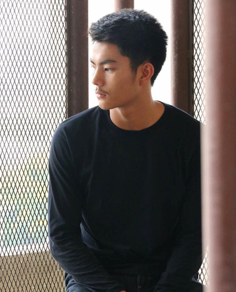 หลายแนว