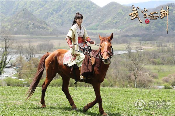 武当一剑Wudang Sword (2018)