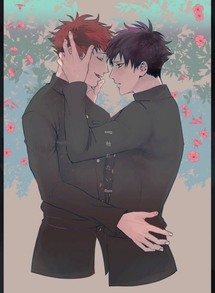 YAOI 512