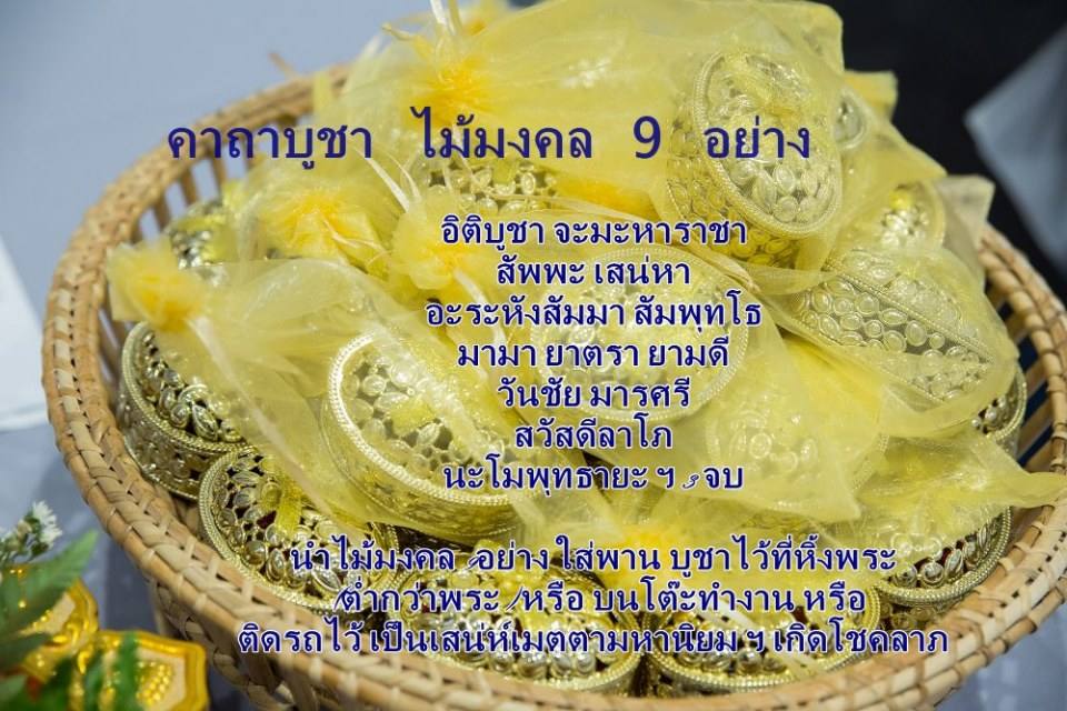 ราตรีผ้าไหม สายใยแห่งรัก คลับ ลิตเติ้ลคิดส์ ไทยแลนด์ สอนการแสดงโคราช