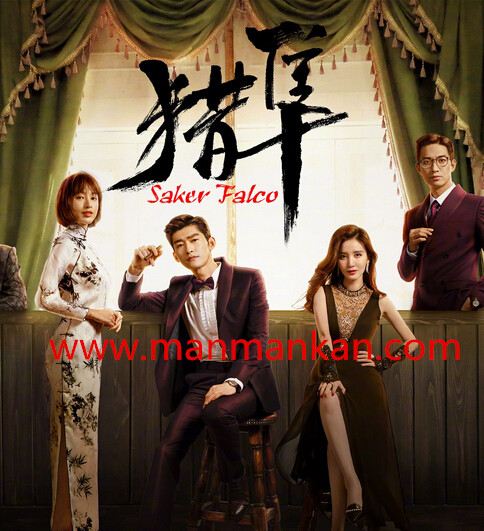 猎隼Saker Falco (2018)
