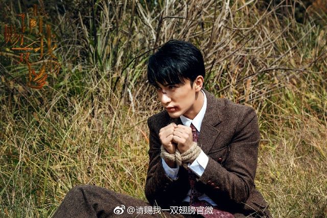 请赐我一双翅膀Please Give Me a Pair of Wings (2018)
