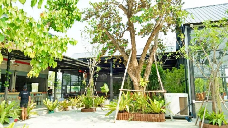 ร่มไม้เขียวๆ บรรยากาศร้านอรีส