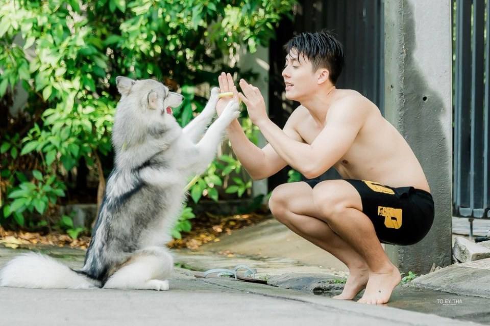 เปลี่ยนจากเล่นกับหมามาเล่นเราได้ป่ะ