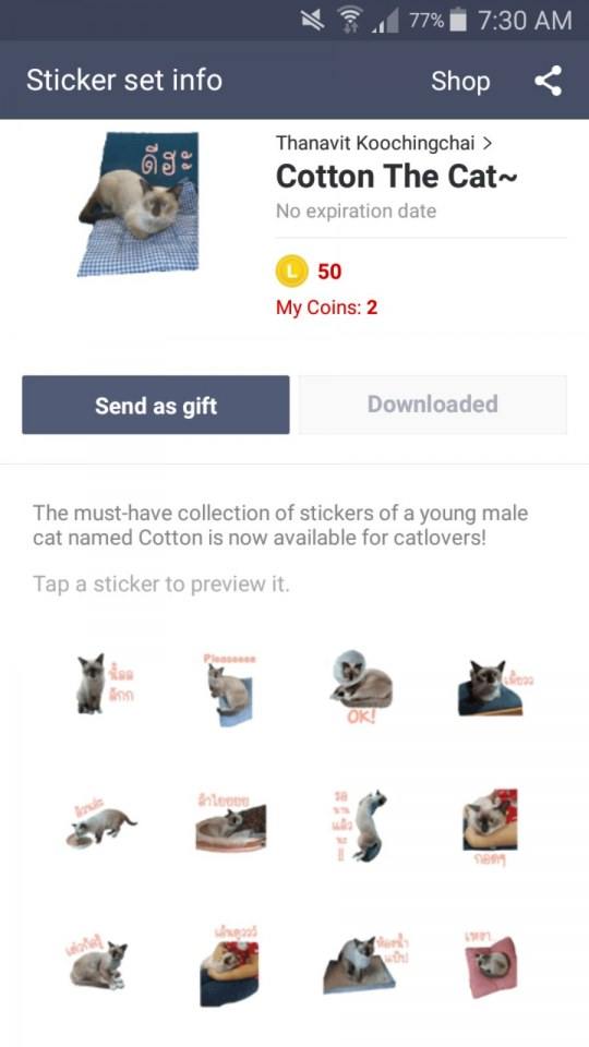 รูปแมวน่ารักๆ ของผมเองครับ มีทำเป็น Sticker Line ด้วย