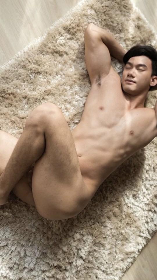 hot male 486 (18+)