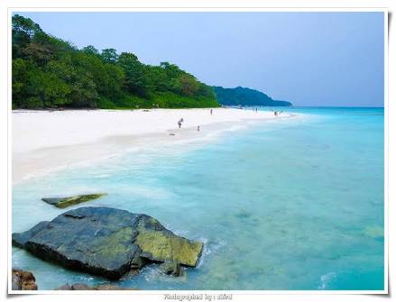 SEA PATTANI