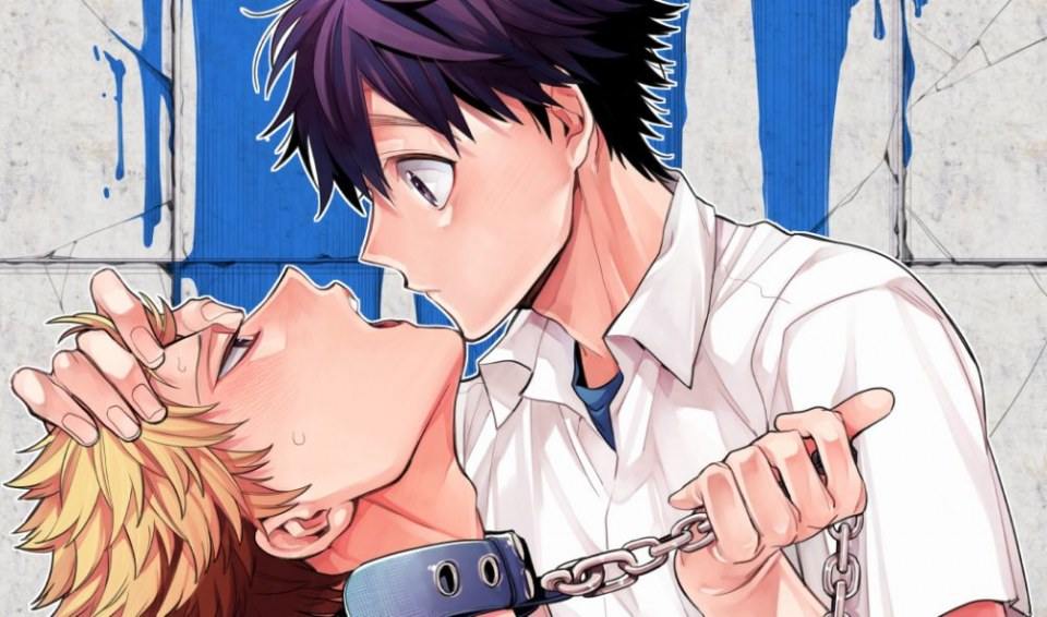 YAOI 517