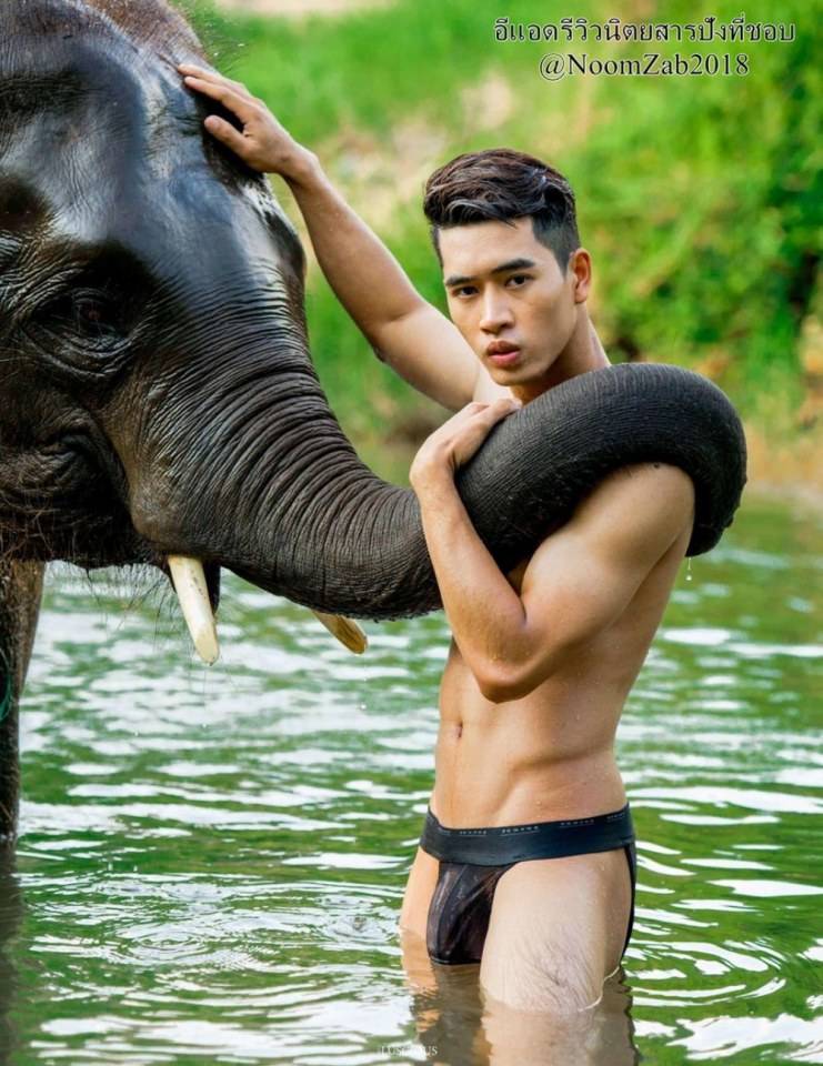 จะไม่ร้องเลย