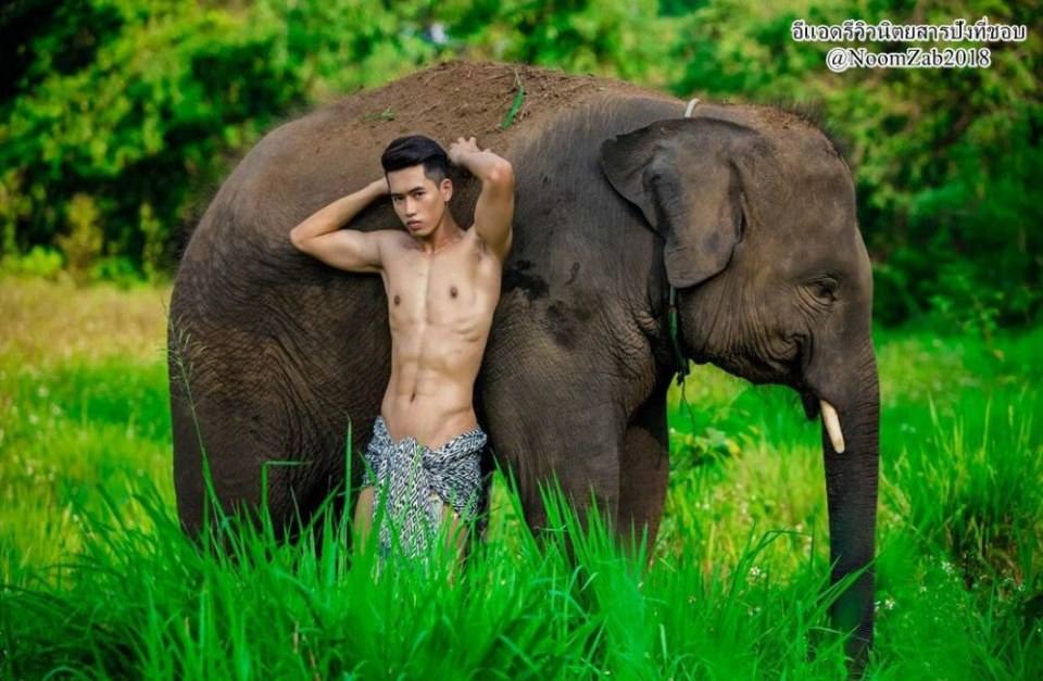 จะไม่ร้องเลย