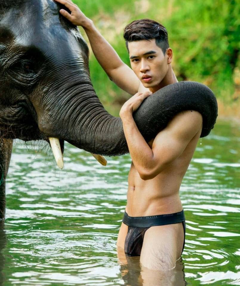 hot male 510 (18+)